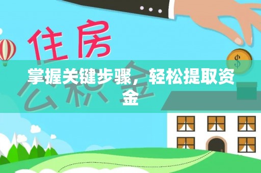 罗田掌握关键步骤，轻松提取资金