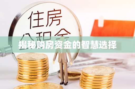 罗田揭秘购房资金的智慧选择