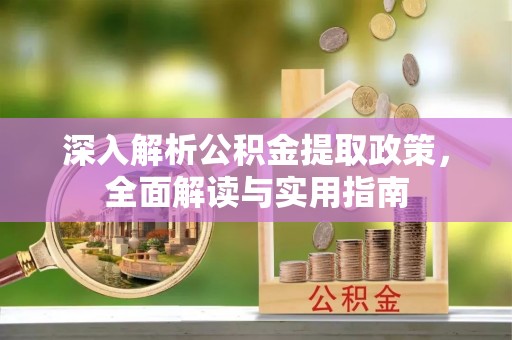 罗田深入解析公积金提取政策，全面解读与实用指南