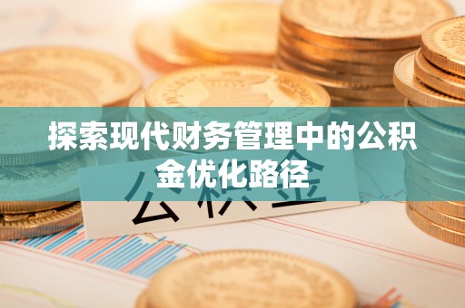 罗田探索现代财务管理中的公积金优化路径
